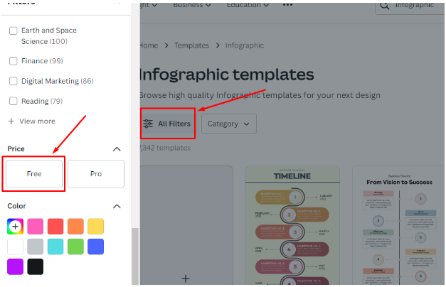 filters in inforgraphic templates