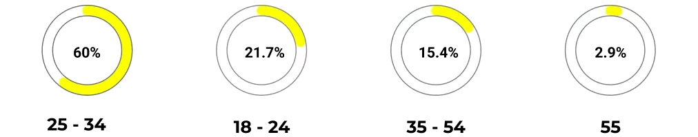 Age Distribution of LinkedIn Users